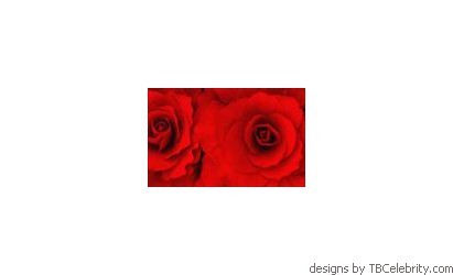 The_Rose_Argentine_Dance_Tango_Y_Nuevo_York