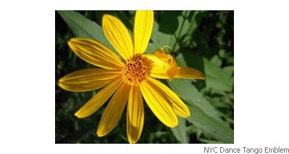 NYC Dance Tango Emblem Sun flower